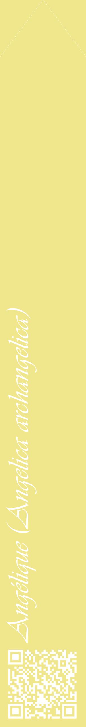 Étiquette de : Angelica archangelica - format c - style blanche20_simpleviv avec qrcode et comestibilité