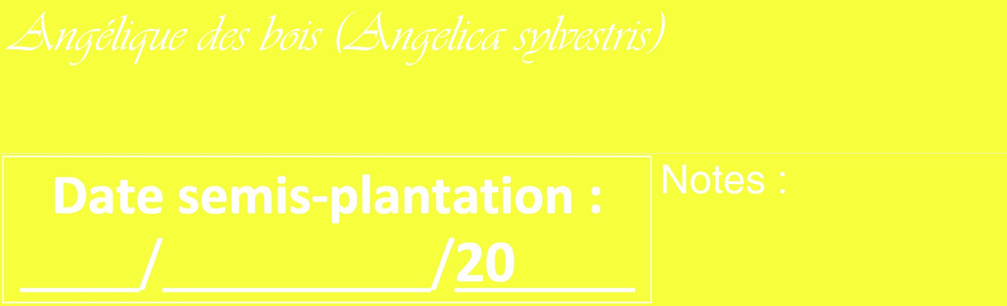 Étiquette de : Angelica sylvestris - format c - style blanche18_basique_basiqueviv avec comestibilité