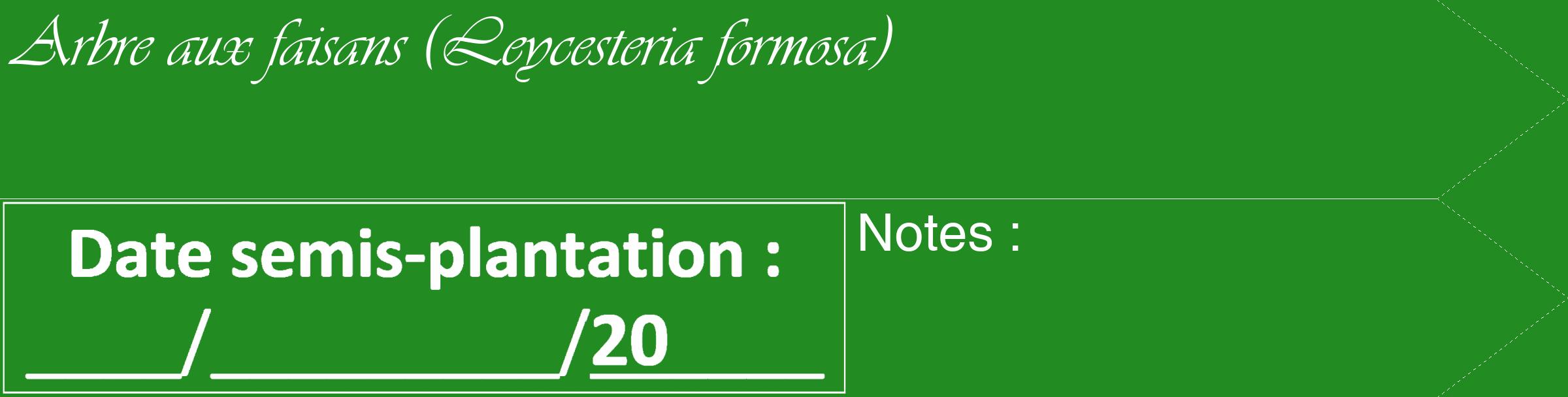 Étiquette de : Leycesteria formosa - format c - style blanche10_simple_simpleviv avec comestibilité