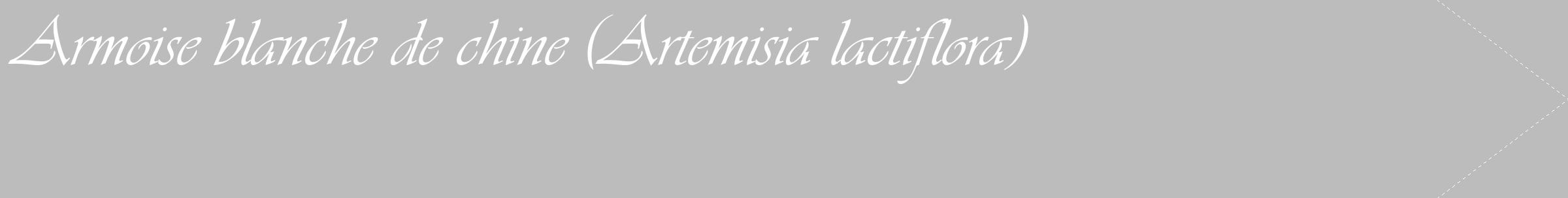 Étiquette de : Artemisia lactiflora - format c - style blanche1_simple_simpleviv avec comestibilité