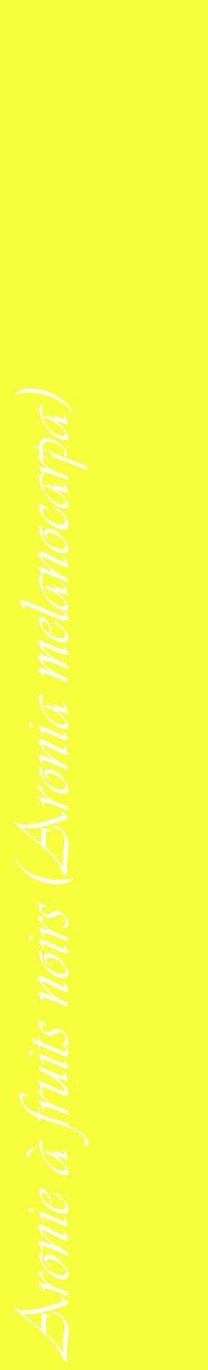 Étiquette de : Aronia melanocarpa - format c - style blanche18_basiqueviv avec comestibilité