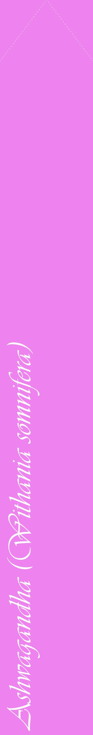 Étiquette de : Withania somnifera - format c - style blanche53_simpleviv avec comestibilité