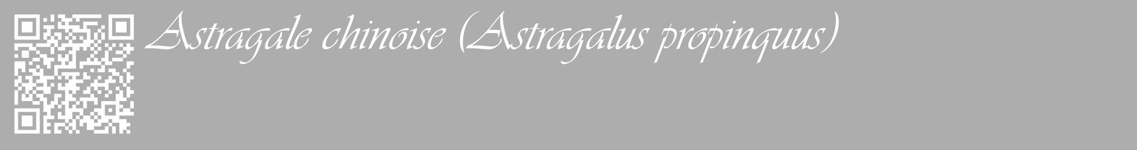 Étiquette de : Astragalus propinquus - format c - style blanche22_basique_basiqueviv avec qrcode et comestibilité