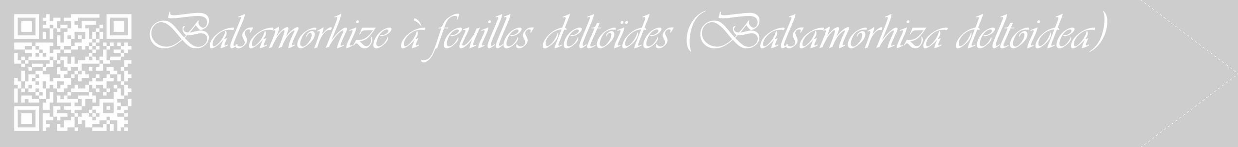 Étiquette de : Balsamorhiza deltoidea - format c - style blanche41_simple_simpleviv avec qrcode et comestibilité