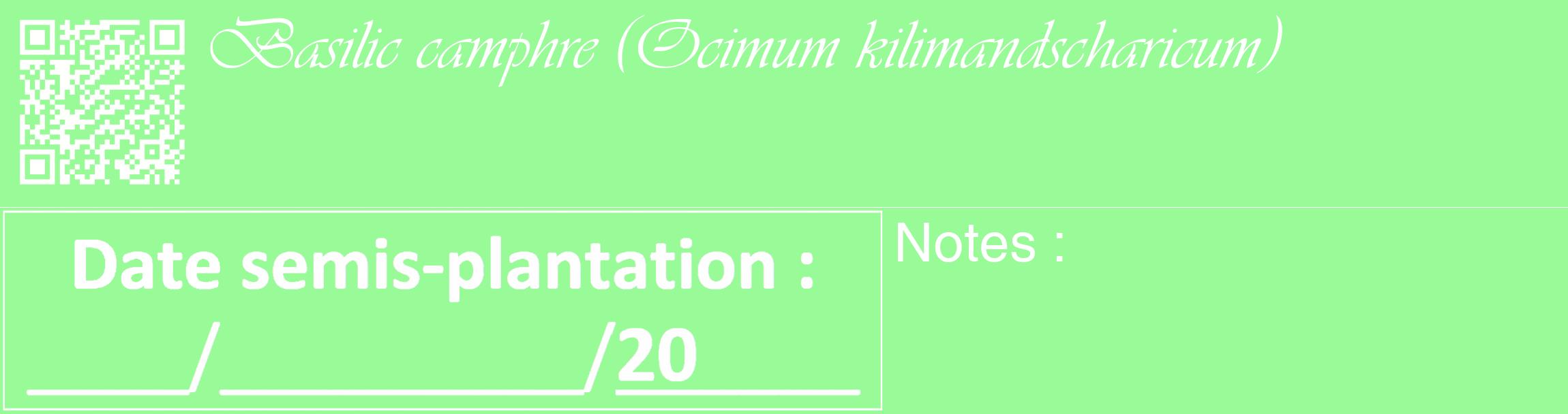 Étiquette de : Ocimum kilimandscharicum - format c - style blanche14_basique_basiqueviv avec qrcode et comestibilité