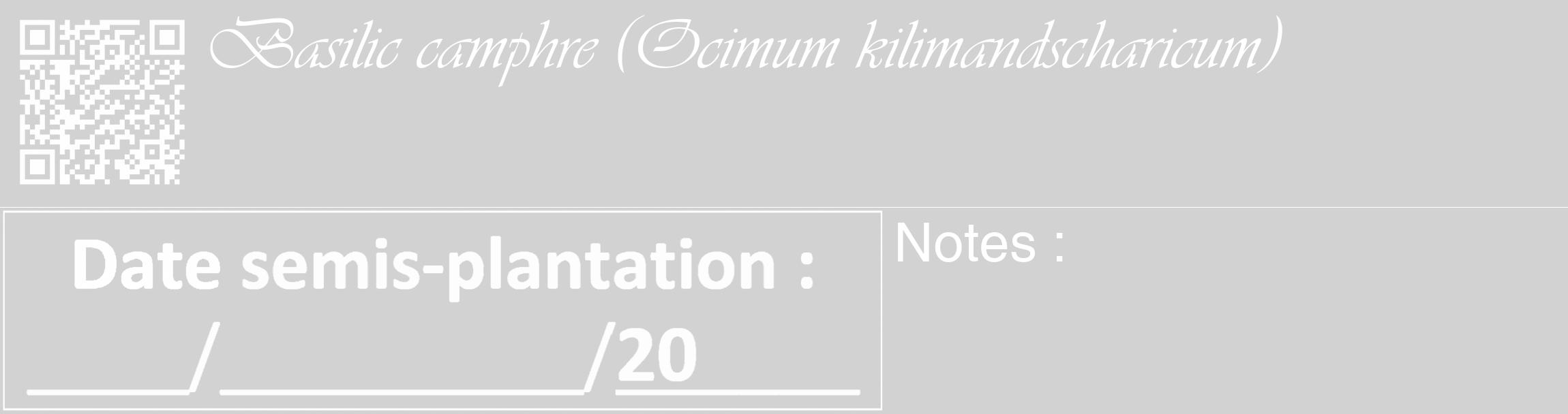 Étiquette de : Ocimum kilimandscharicum - format c - style blanche14_basique_basiqueviv avec qrcode et comestibilité
