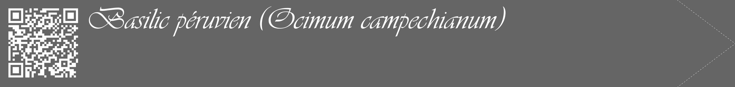 Étiquette de : Ocimum campechianum - format c - style blanche32_simple_simpleviv avec qrcode et comestibilité