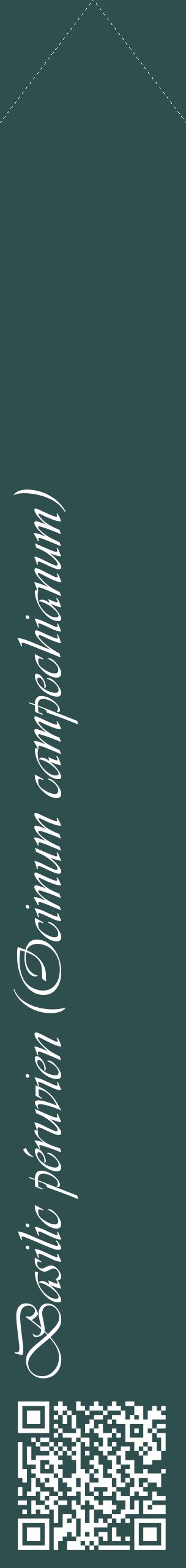 Étiquette de : Ocimum campechianum - format c - style blanche58_simpleviv avec qrcode et comestibilité