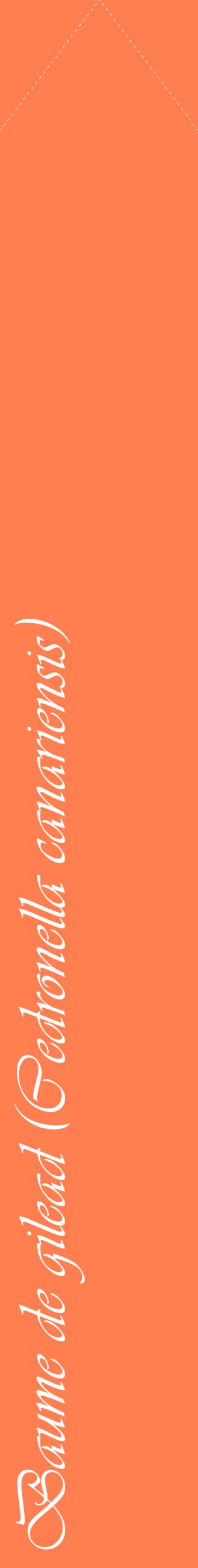Étiquette de : Cedronella canariensis - format c - style blanche24_simpleviv avec comestibilité