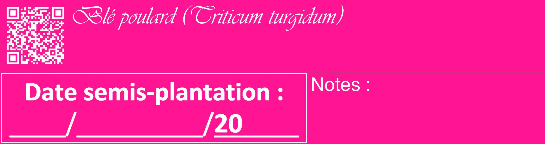 Étiquette de : Triticum turgidum - format c - style blanche43_basique_basiqueviv avec qrcode et comestibilité