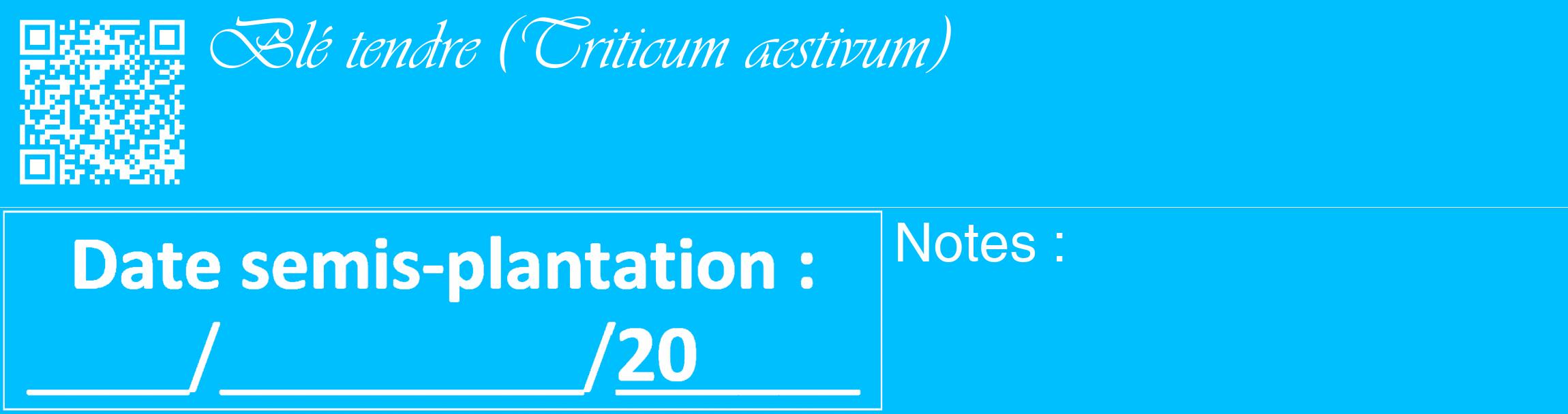 Étiquette de : Triticum aestivum - format c - style blanche2_basique_basiqueviv avec qrcode et comestibilité