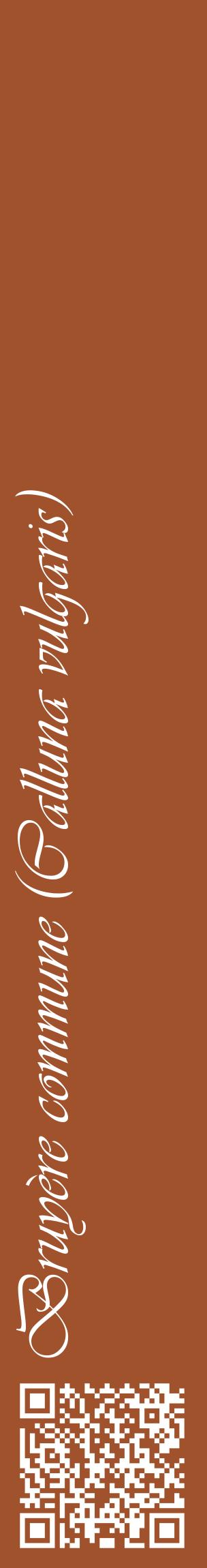 Étiquette de : Calluna vulgaris - format c - style blanche32_basiqueviv avec qrcode et comestibilité