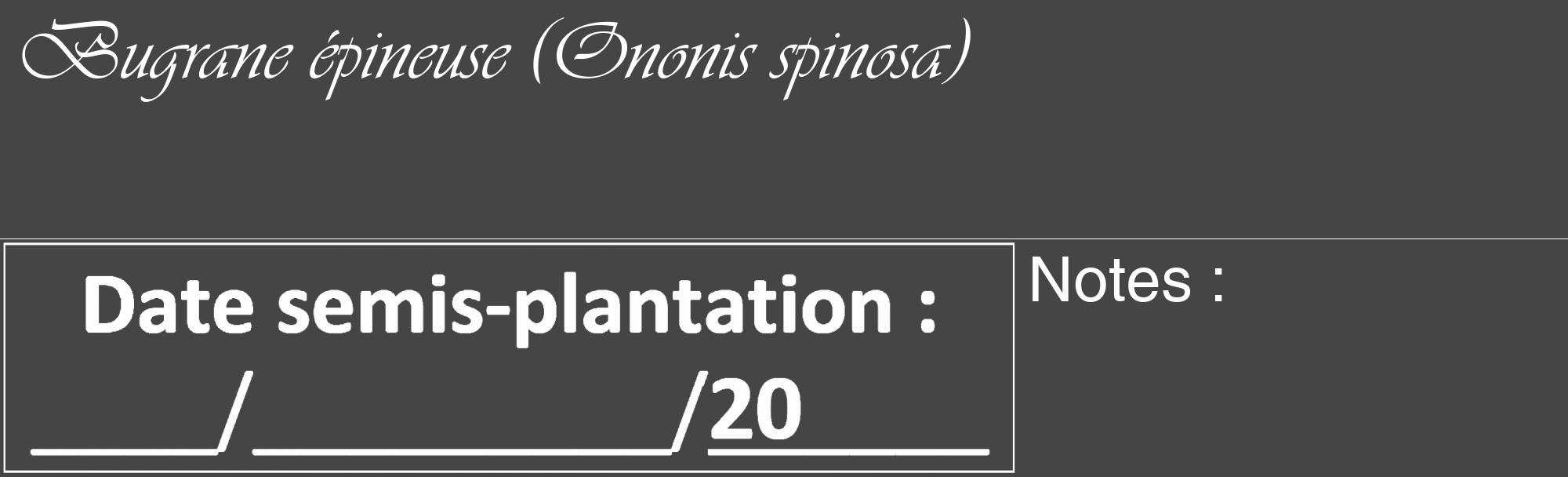 Étiquette de : Ononis spinosa - format c - style blanche58_basique_basiqueviv avec comestibilité