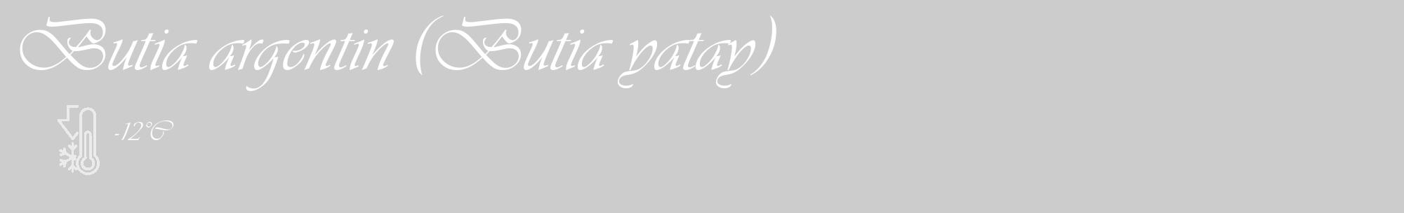 Étiquette de : Butia yatay - format c - style blanche0_basique_basiqueviv avec comestibilité