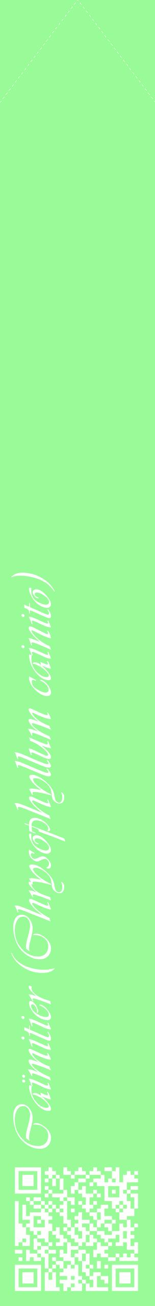 Étiquette de : Chrysophyllum cainito - format c - style blanche14_simpleviv avec qrcode et comestibilité