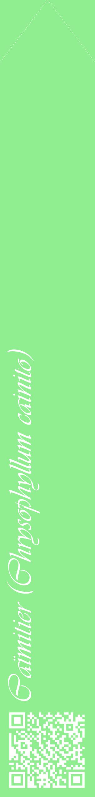 Étiquette de : Chrysophyllum cainito - format c - style blanche15_simpleviv avec qrcode et comestibilité
