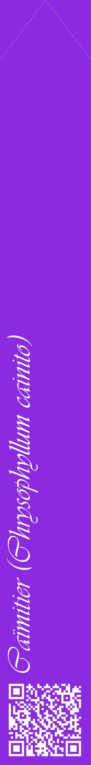 Étiquette de : Chrysophyllum cainito - format c - style blanche49_simpleviv avec qrcode et comestibilité
