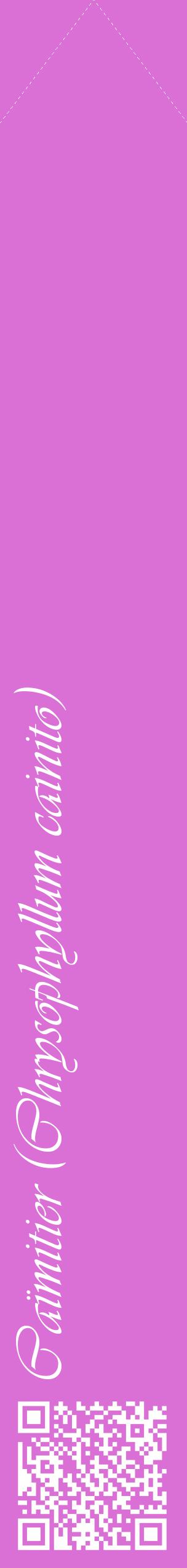 Étiquette de : Chrysophyllum cainito - format c - style blanche52_simpleviv avec qrcode et comestibilité