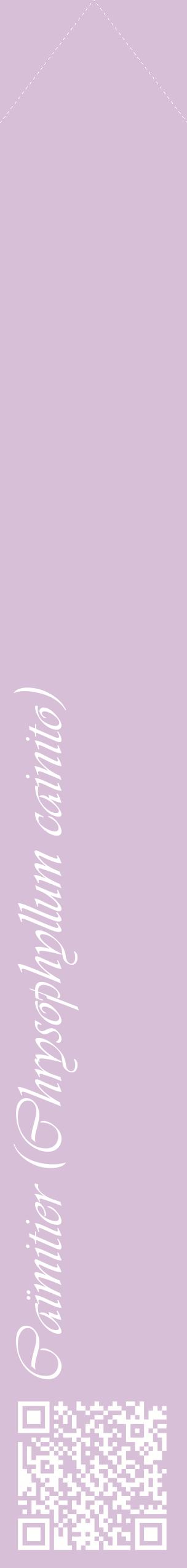 Étiquette de : Chrysophyllum cainito - format c - style blanche54_simpleviv avec qrcode et comestibilité