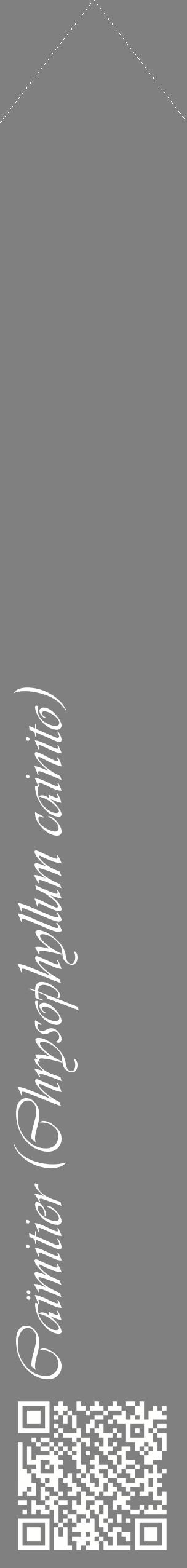 Étiquette de : Chrysophyllum cainito - format c - style blanche57_simpleviv avec qrcode et comestibilité