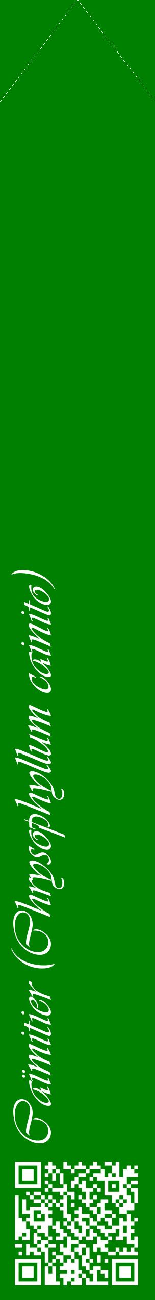 Étiquette de : Chrysophyllum cainito - format c - style blanche9_simpleviv avec qrcode et comestibilité
