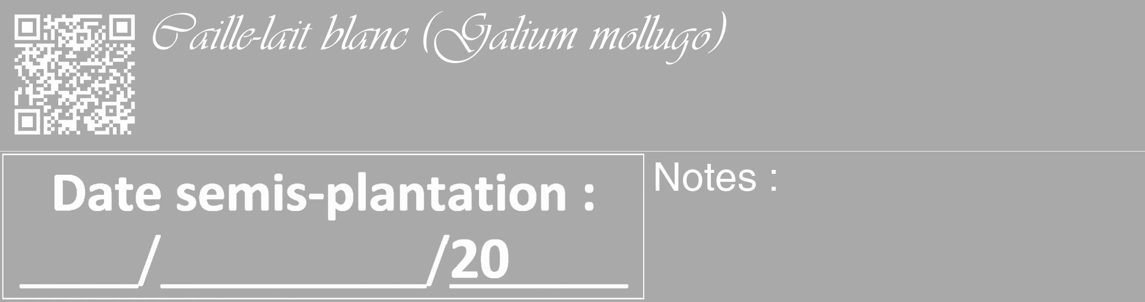 Étiquette de : Galium mollugo - format c - style blanche13_basique_basiqueviv avec qrcode et comestibilité