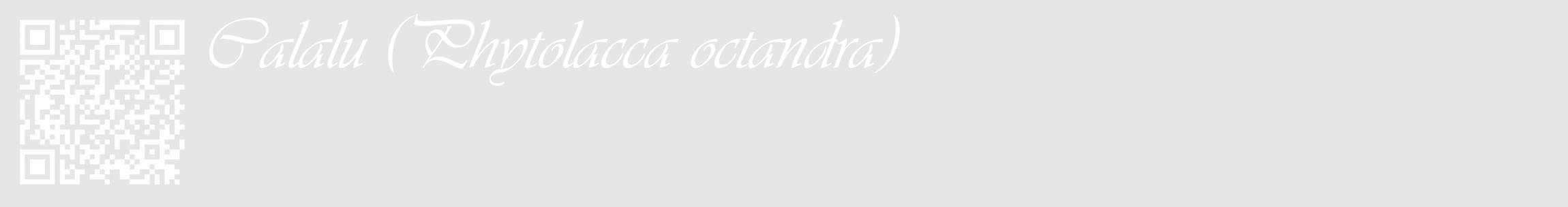Étiquette de : Phytolacca octandra - format c - style blanche18_basique_basiqueviv avec qrcode et comestibilité