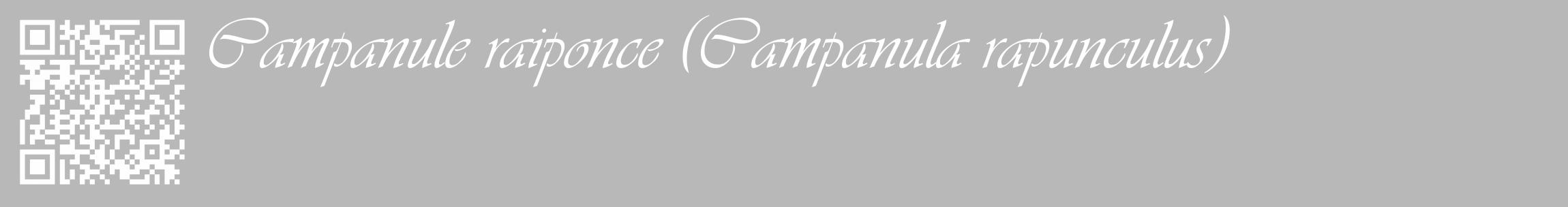 Étiquette de : Campanula rapunculus - format c - style blanche39_basique_basiqueviv avec qrcode et comestibilité