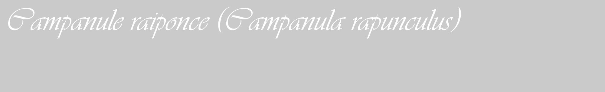 Étiquette de : Campanula rapunculus - format c - style blanche21_basique_basiqueviv avec comestibilité