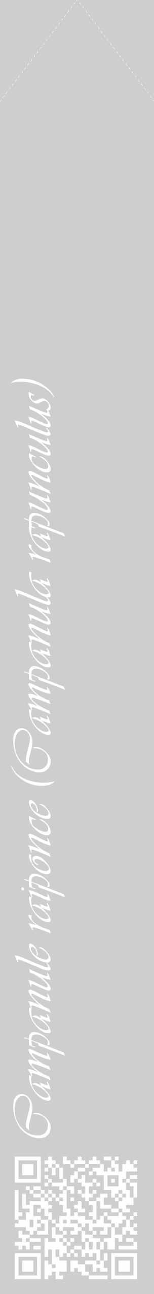 Étiquette de : Campanula rapunculus - format c - style blanche17_simple_simpleviv avec qrcode et comestibilité - position verticale