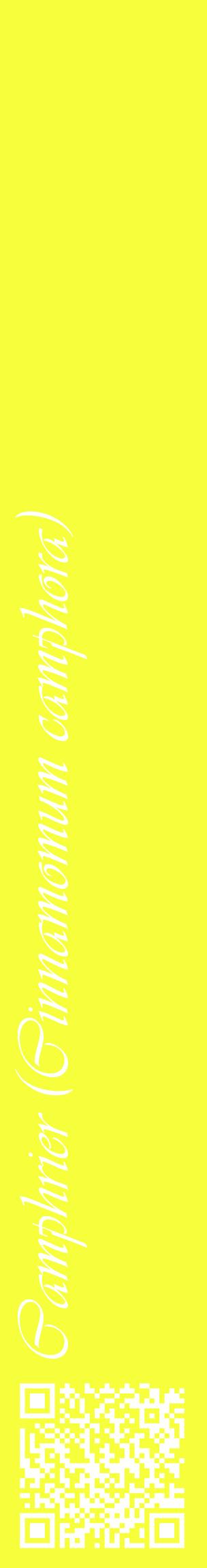 Étiquette de : Cinnamomum camphora - format c - style blanche18_basiqueviv avec qrcode et comestibilité