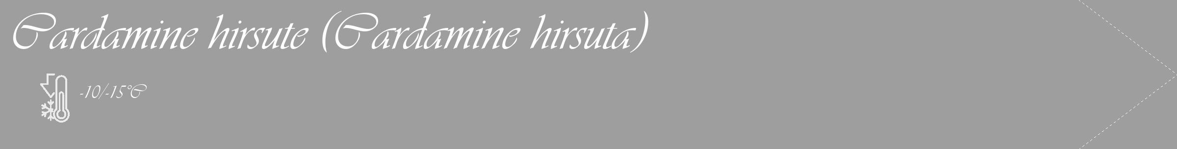Étiquette de : Cardamine hirsuta - format c - style blanche23_simple_simpleviv avec comestibilité