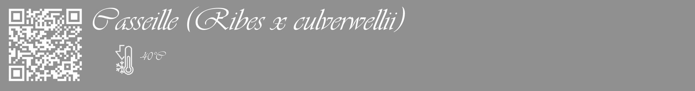 Étiquette de : Ribes x culverwellii - format c - style blanche4_basique_basiqueviv avec qrcode et comestibilité