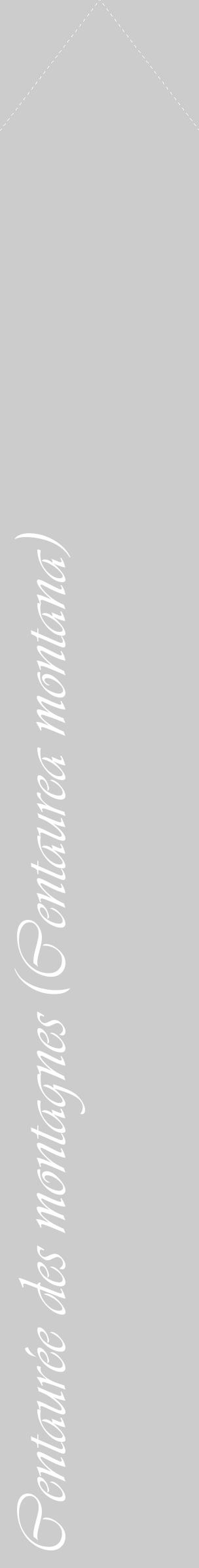 Étiquette de : Centaurea montana - format c - style blanche0_simple_simpleviv avec comestibilité - position verticale