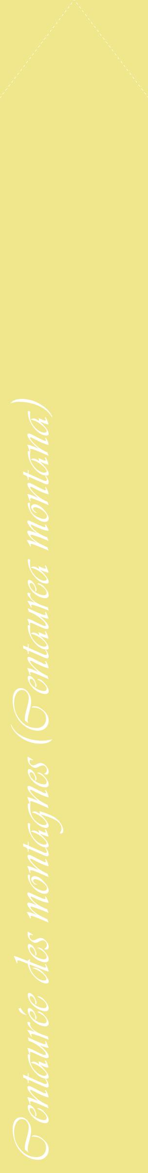 Étiquette de : Centaurea montana - format c - style blanche20_simpleviv avec comestibilité