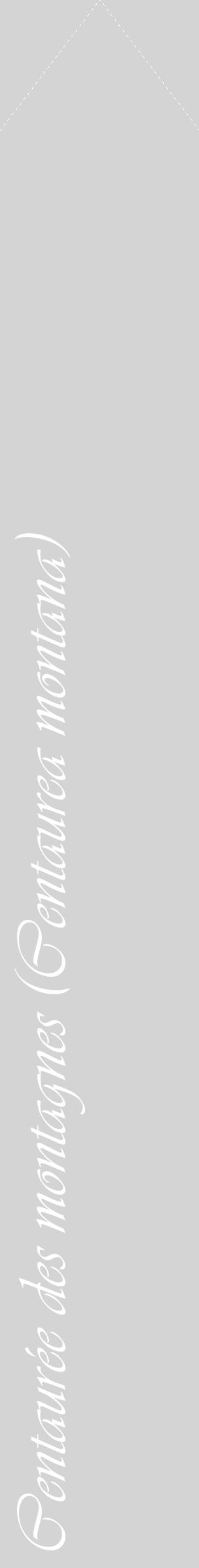 Étiquette de : Centaurea montana - format c - style blanche40_simple_simpleviv avec comestibilité - position verticale