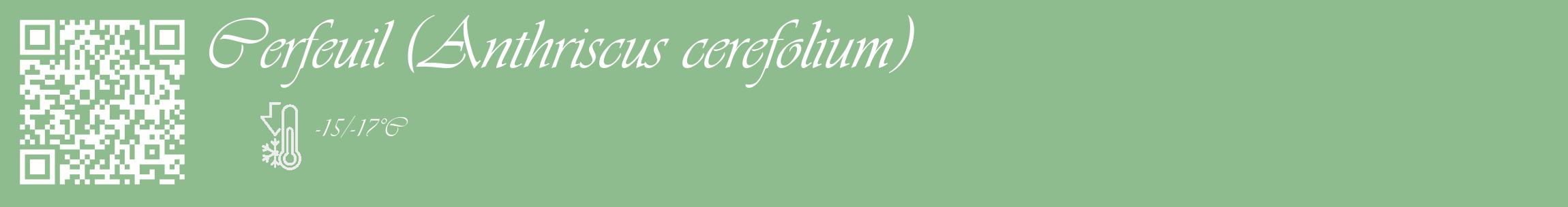 Étiquette de : Anthriscus cerefolium - format c - style blanche13_basique_basiqueviv avec qrcode et comestibilité