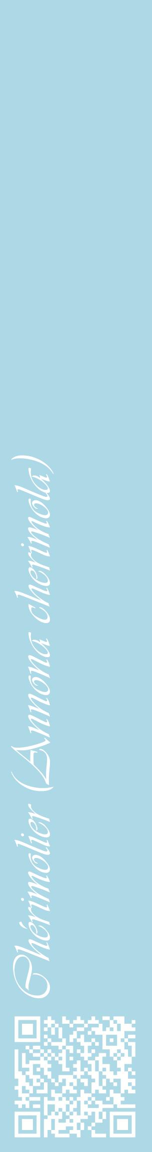Étiquette de : Annona cherimola - format c - style blanche0_basiqueviv avec qrcode et comestibilité