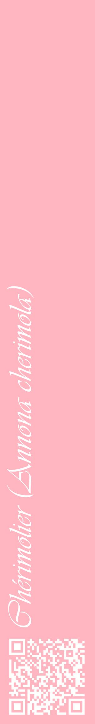 Étiquette de : Annona cherimola - format c - style blanche41_basiqueviv avec qrcode et comestibilité