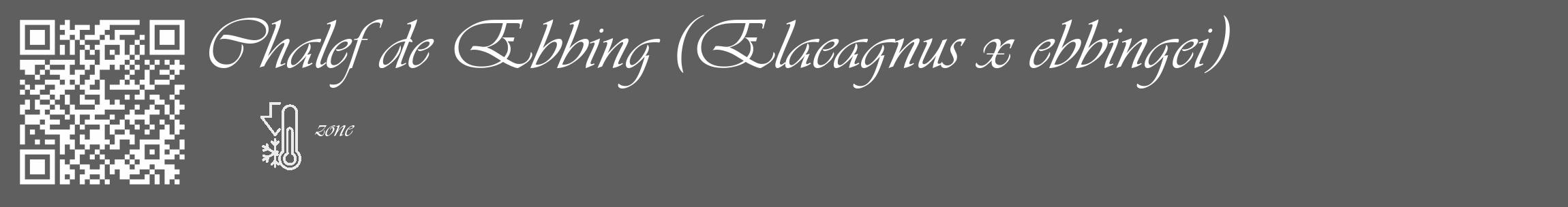 Étiquette de : Elaeagnus x ebbingei - format c - style blanche10_basique_basiqueviv avec qrcode et comestibilité