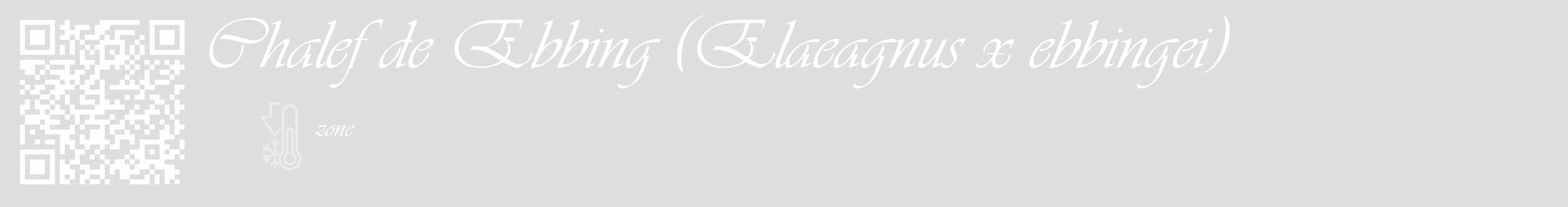 Étiquette de : Elaeagnus x ebbingei - format c - style blanche20_basique_basiqueviv avec qrcode et comestibilité