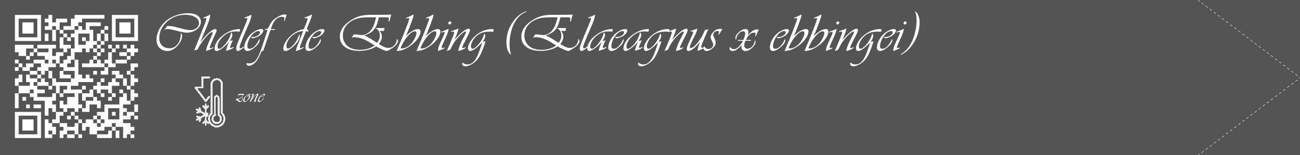 Étiquette de : Elaeagnus x ebbingei - format c - style blanche36_simple_simpleviv avec qrcode et comestibilité