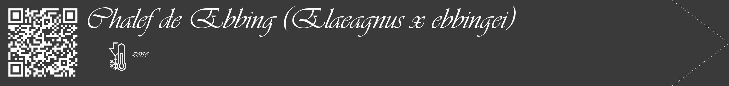 Étiquette de : Elaeagnus x ebbingei - format c - style blanche8_simple_simpleviv avec qrcode et comestibilité