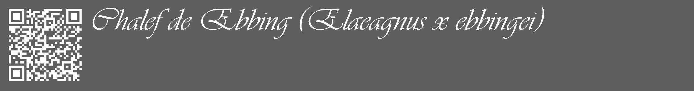 Étiquette de : Elaeagnus x ebbingei - format c - style blanche10_basique_basiqueviv avec qrcode et comestibilité