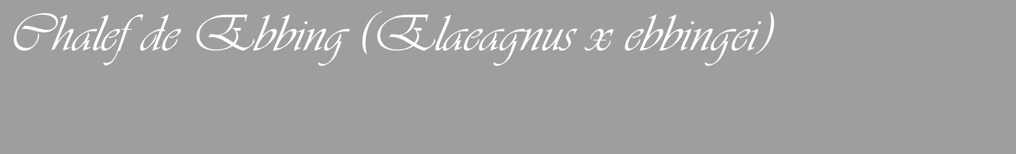 Étiquette de : Elaeagnus x ebbingei - format c - style blanche23_basique_basiqueviv avec comestibilité