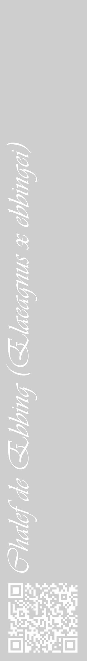 Étiquette de : Elaeagnus x ebbingei - format c - style blanche17_basique_basiqueviv avec qrcode et comestibilité - position verticale