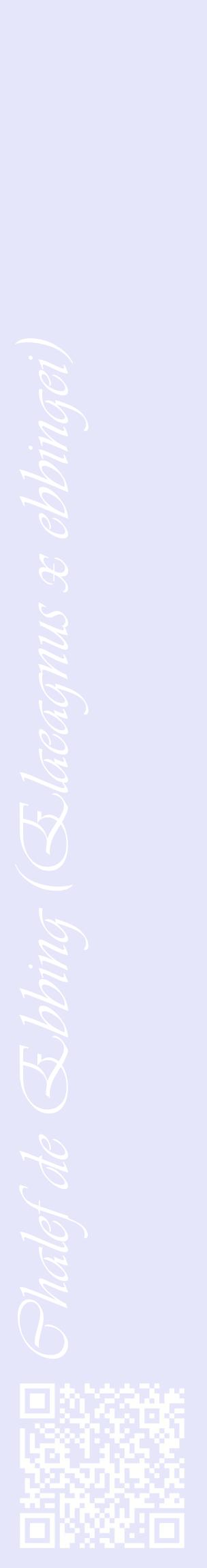 Étiquette de : Elaeagnus x ebbingei - format c - style blanche55_basiqueviv avec qrcode et comestibilité