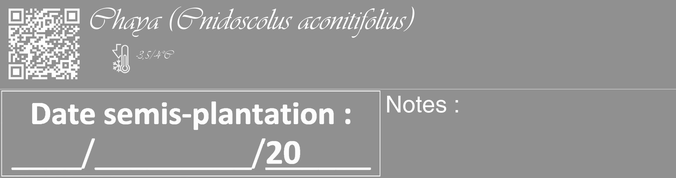 Étiquette de : Cnidoscolus aconitifolius - format c - style blanche4_basique_basiqueviv avec qrcode et comestibilité