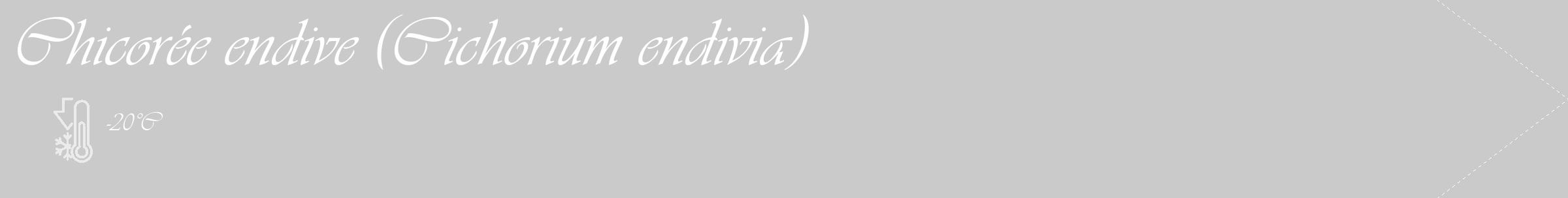 Étiquette de : Cichorium endivia - format c - style blanche21_simple_simpleviv avec comestibilité