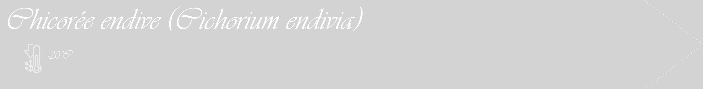 Étiquette de : Cichorium endivia - format c - style blanche56_simple_simpleviv avec comestibilité